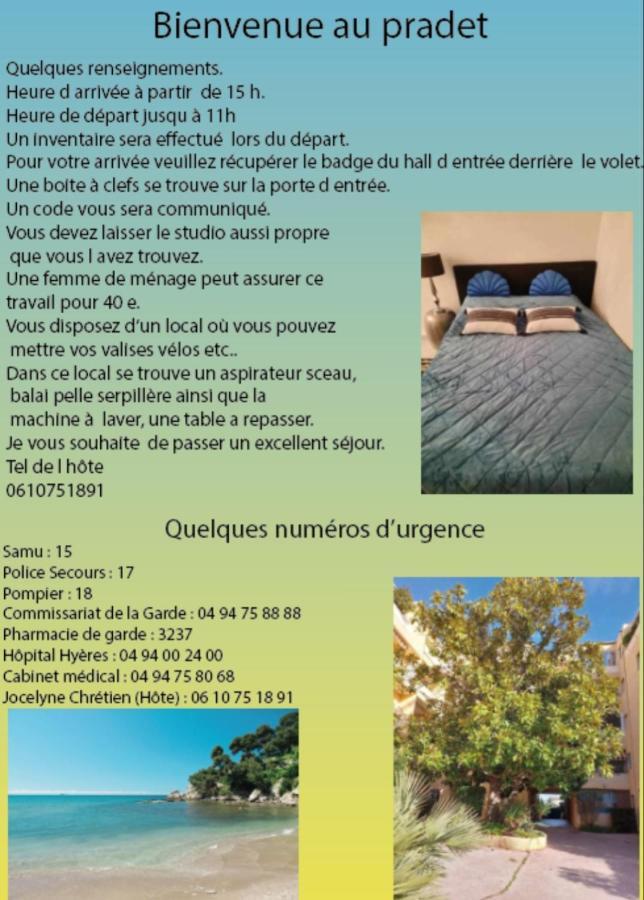 Les Roches Bleues Apartment Le Pradet Bagian luar foto